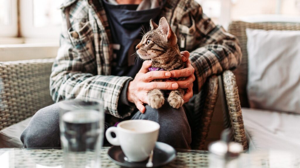 Café pet-friendly